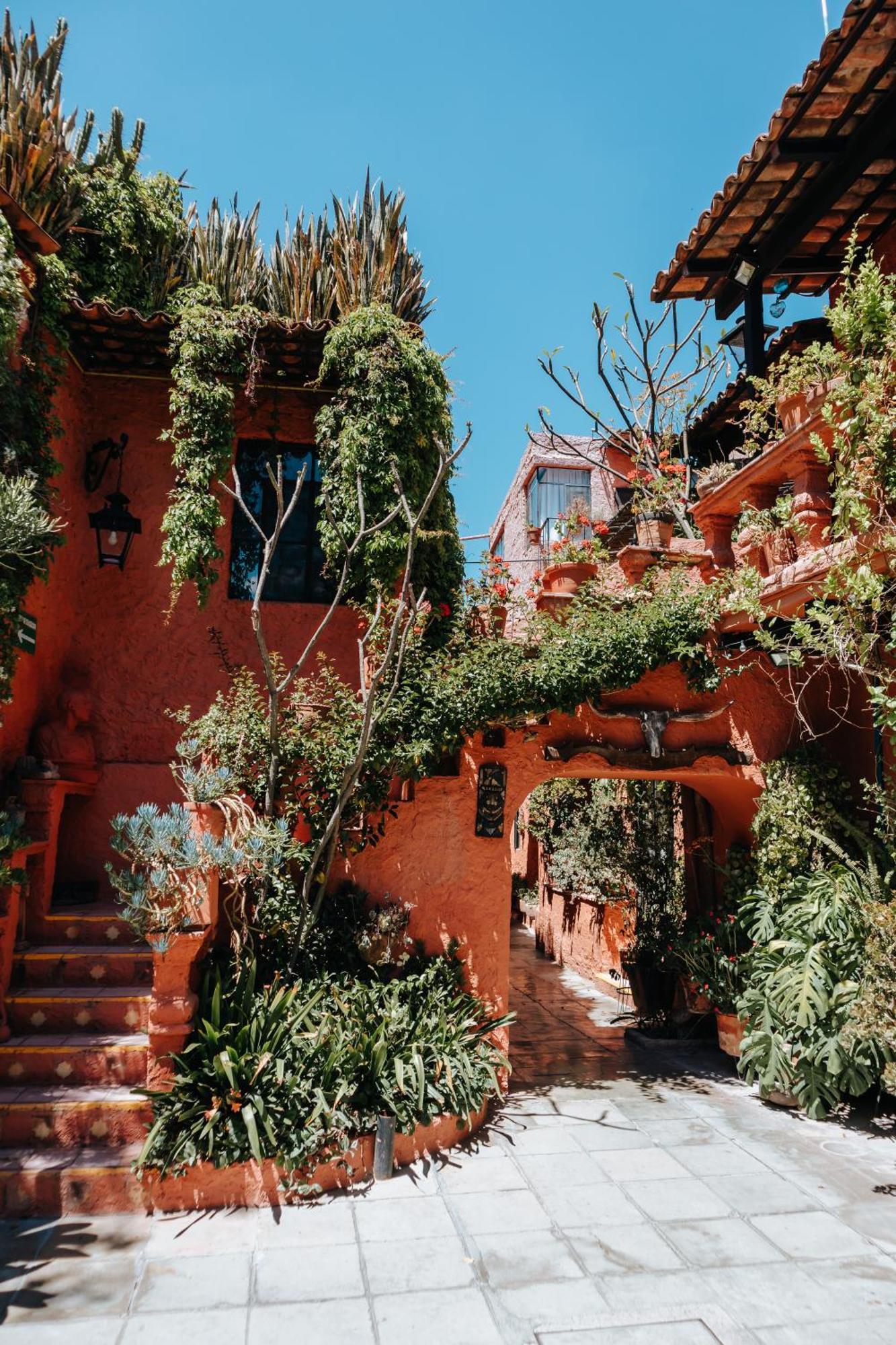 Hotel Mansion del Bosque San Miguel de Allende Exterior foto
